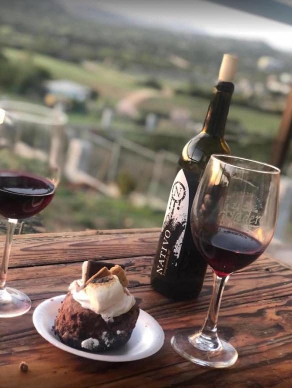 Suites Nativo - Beautiful Vineyard & Valley View Valle de Guadalupe Bagian luar foto